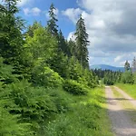 Bára