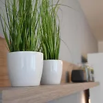 Apartamento Bára