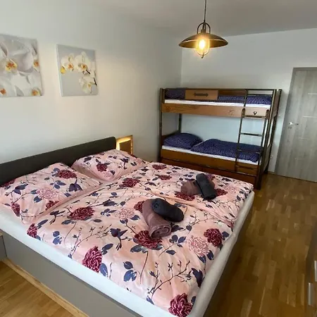 Bára
