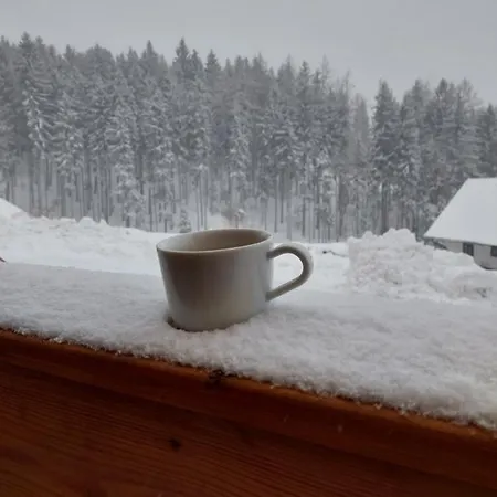 Appartement Bara Černý Dŭl