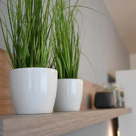 Apartmán Bara