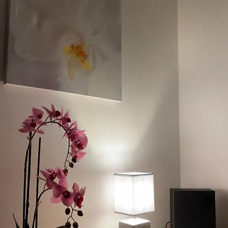 Bára Apartamento Černý Důl